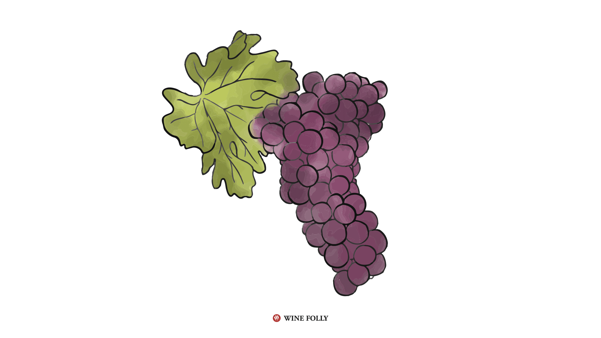 Better together and defining Cabernet Sauvignon