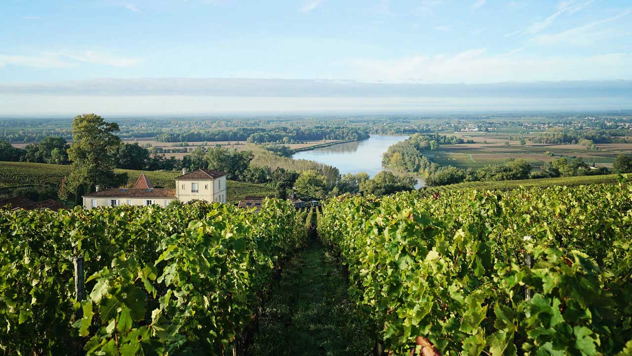Ledson Winery and Vineyards Image