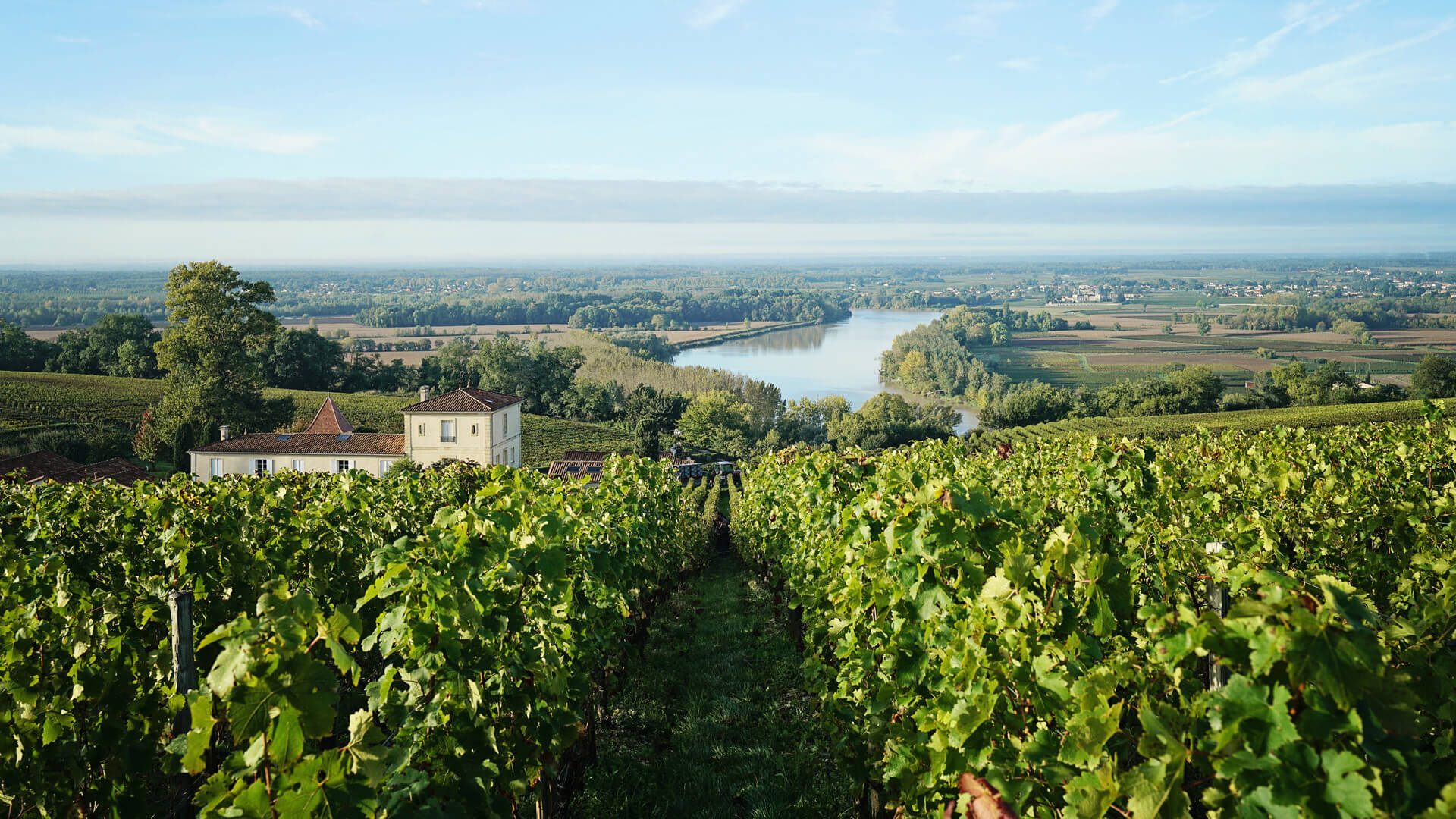 Paoletti Estates Winery Cover Image